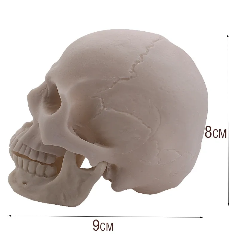 

P-Flame Small Human Skull Model 6*11CM Artesanato Handicraft Home Decor Resin Crafts Do The Old Decorative Skull