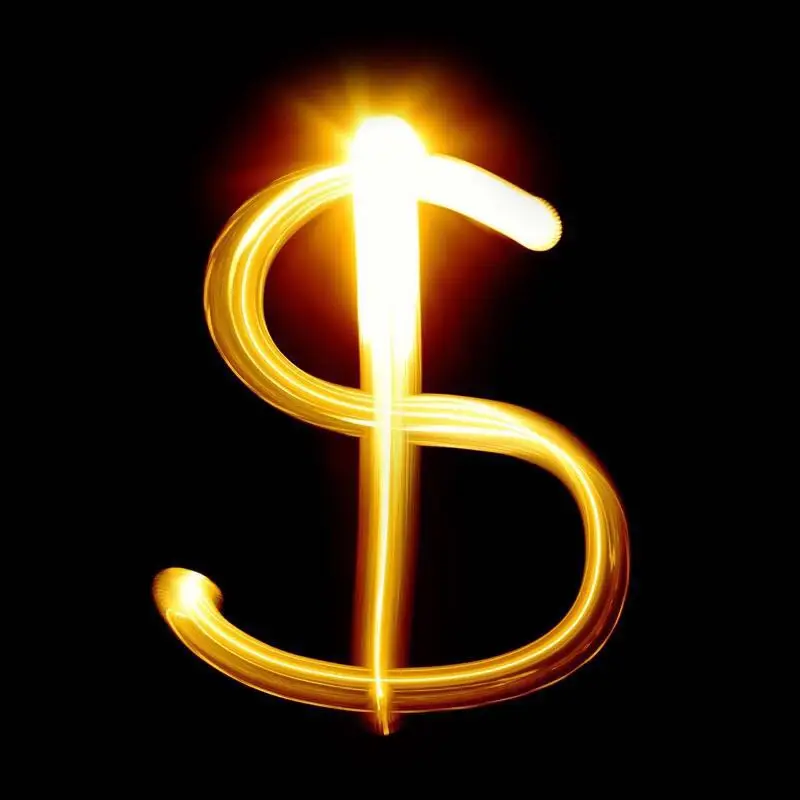 

The Link for Payment