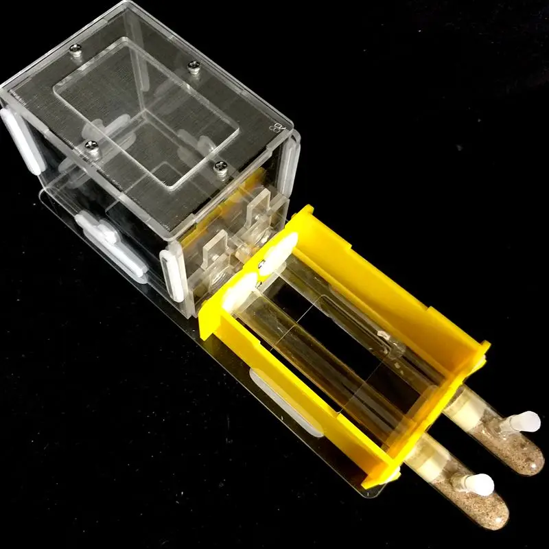 Pet acrylic Ant Nest Test Tube Nest Workshop Flat Bamboo Nest with 15150mm Self-shielded (2)