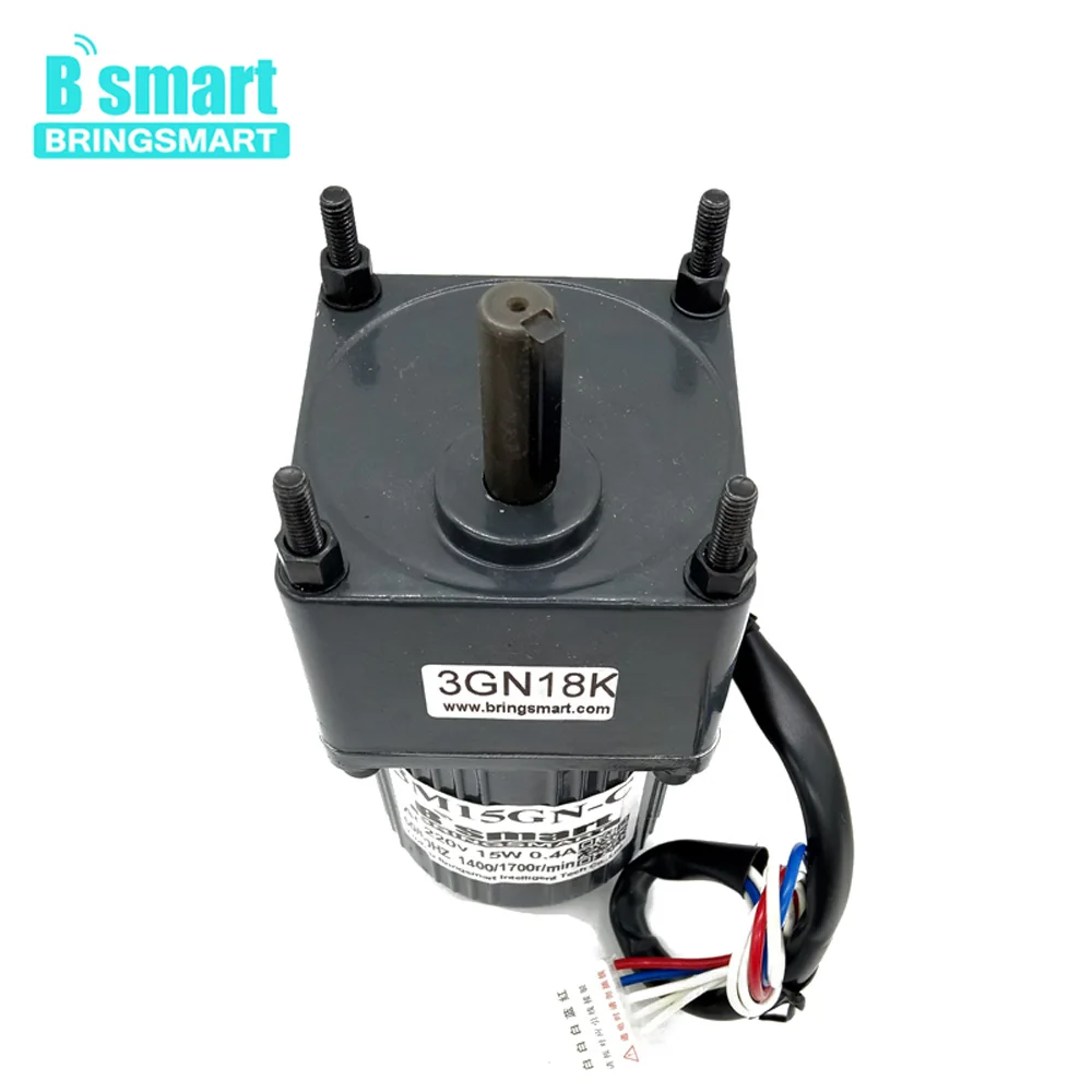 Bringsmart 3M15GN-C 220V AC мотор моторы 15 Вт индукционный небольшой The Machine 1" /20/30/50/100/150/200/300/500 об/мин однофазный двигатель переменного тока