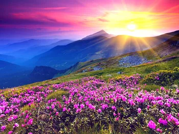 

DIY 5D Full Square Diamond Round Diamond Diamond Painting Landscape Sunrise and Purple Floral Pattern Painting Rhinestone Diamon