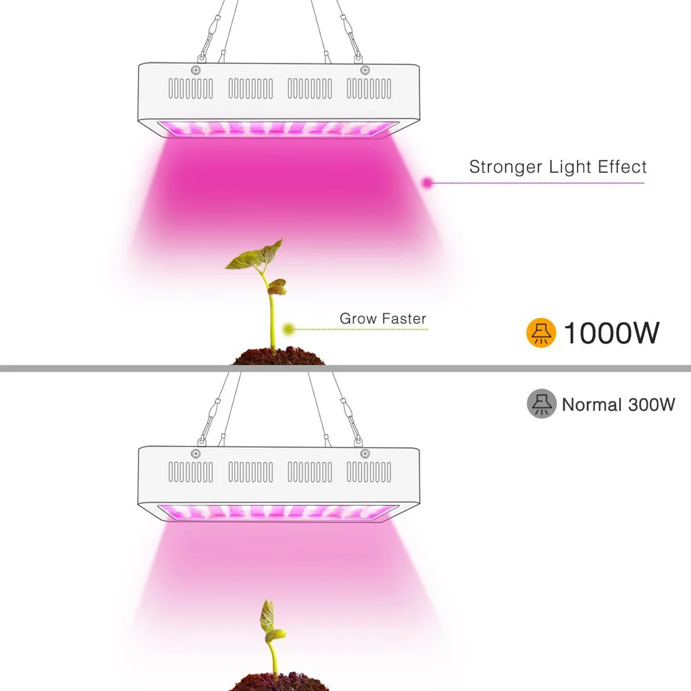 plant lamp (6)