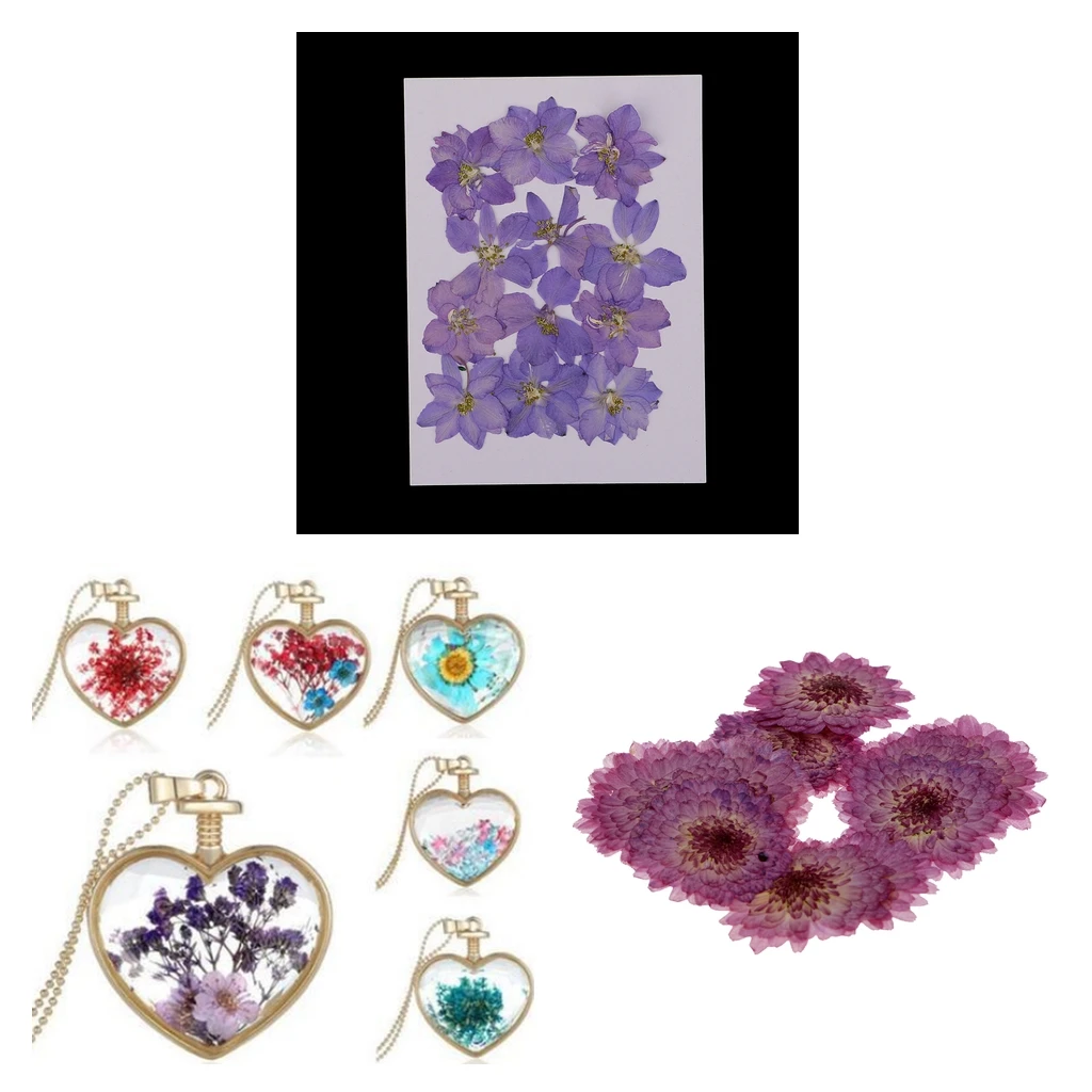 22 Pieces Purple Daisy and Larkspur Dried Pressed Flowers Handmade Real Flowers Case for Phone Decoration DIY