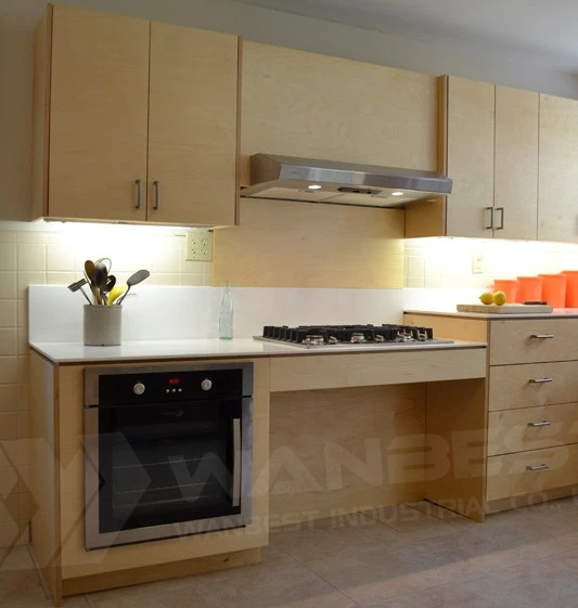 Cocina que cocina mueble de encimera en Armarios de cocina de Mejoras