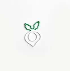 White radish