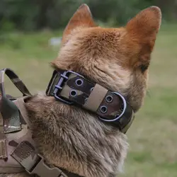 Прочная ширина Тактический ошейник для собак Регулируемый тренировочный ошейник для домашних животных военный ошейник для собак