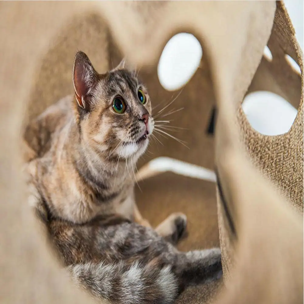 Unique Cat Toy For Pet Training Mat Cat Agility Training Mat Cat Biting Pad Squirrels Rabbits Tunnel Cat Supplies Unique Cat Toy For Pet Training Mat Cat Agility Training Mat Cat Biting Pad Squirrels Rabbits Tunnel Cat Supplies