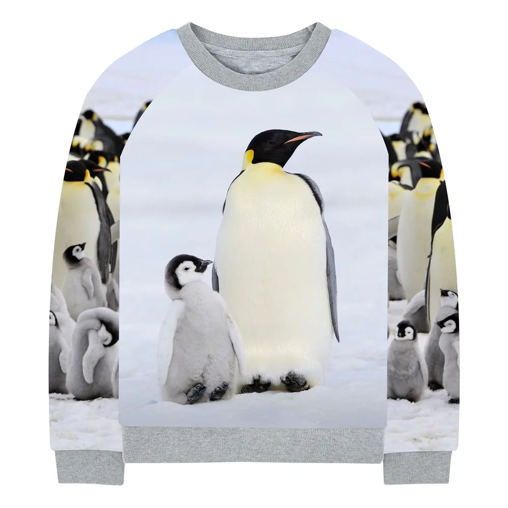 penguin clothing sale