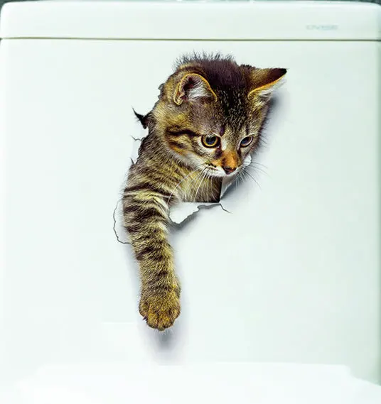 Cats-3D-Wall-Sticker-Toilet-Stickers-Hole-View-Vivid-Dogs-Bathroom-Home-Decoration-Animal-Vinyl-Decals.jpg_.webp_640x640 (2)