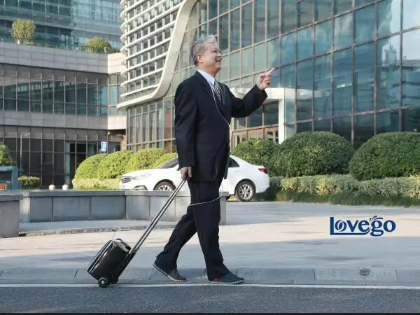 Portable oxygen concentrator-1