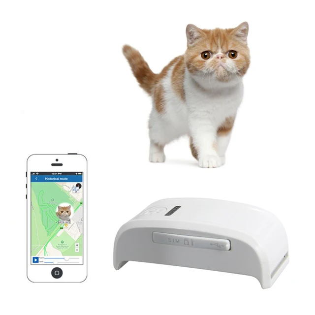 Smallest GPS Pet Tracker With Collar GSM/GPRS Positioning Real Time GPS Tracking Dog Pet TK909 Dog/Cat /IOS /Andriod App