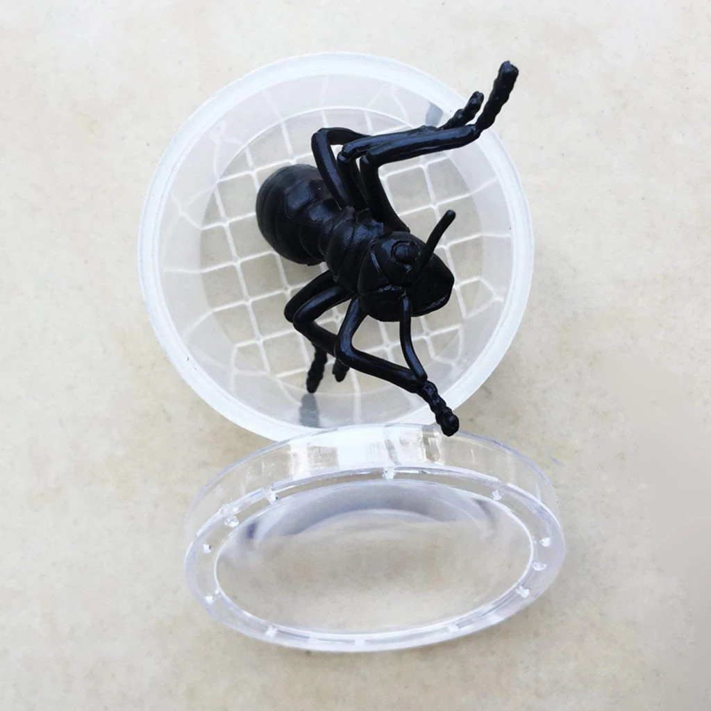 5 pcs Insect Cage Box With Magnifying Top, For Insect Hobby Observation, Kids Children Science Kit Early Development Toy