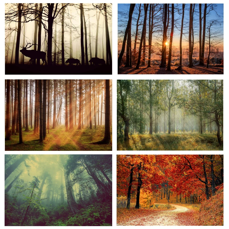 

DIY 5D Diamond Mosaic Woods Scenery Patterns Handmade Diamond Painting Cross Stitch Fog Landscape Diamond Embroidery