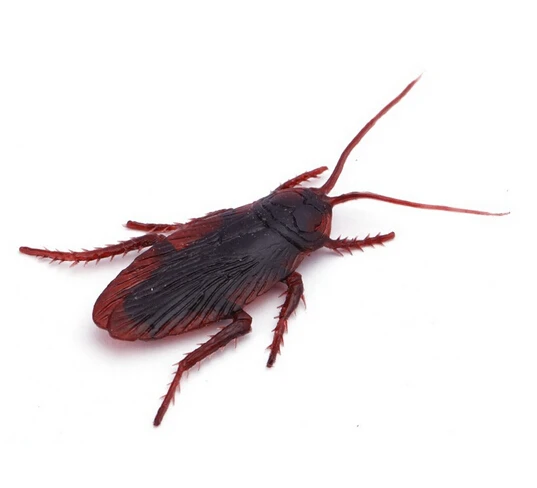 

5pcs Fish cockroach lure plastic esca soft bait 8cm*3.5cm 3g free shipping