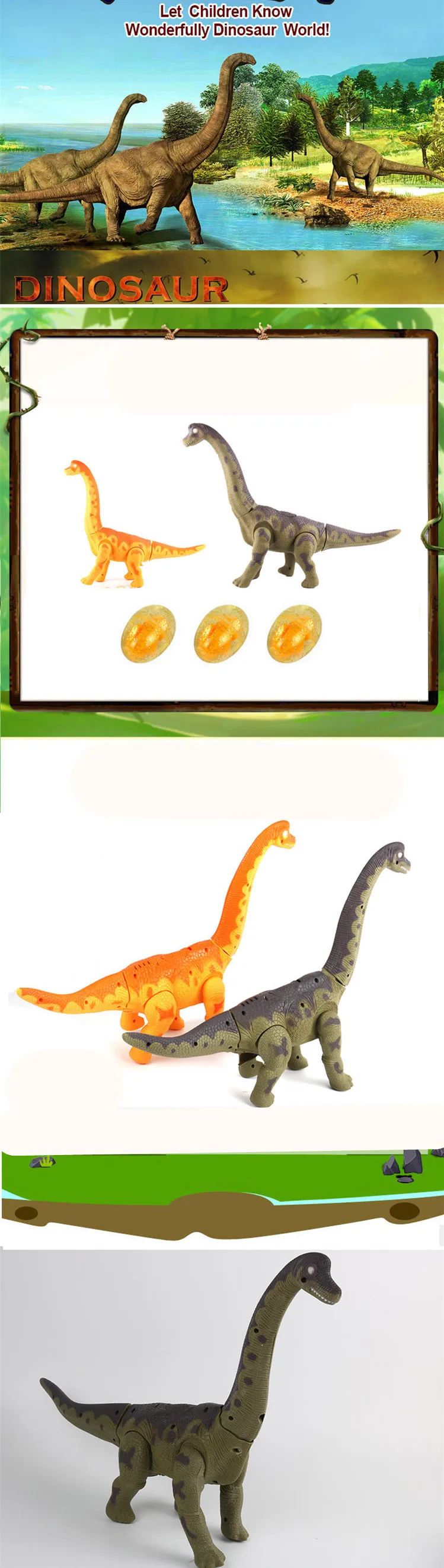 3616914012_1552967624