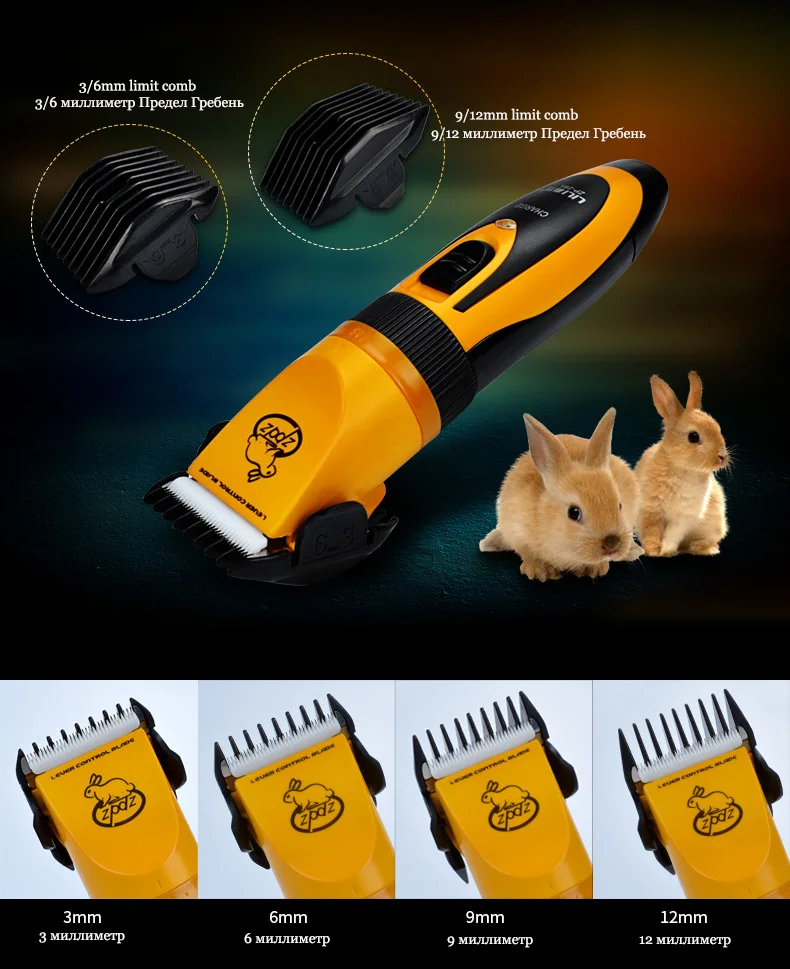 3803404500_822936908