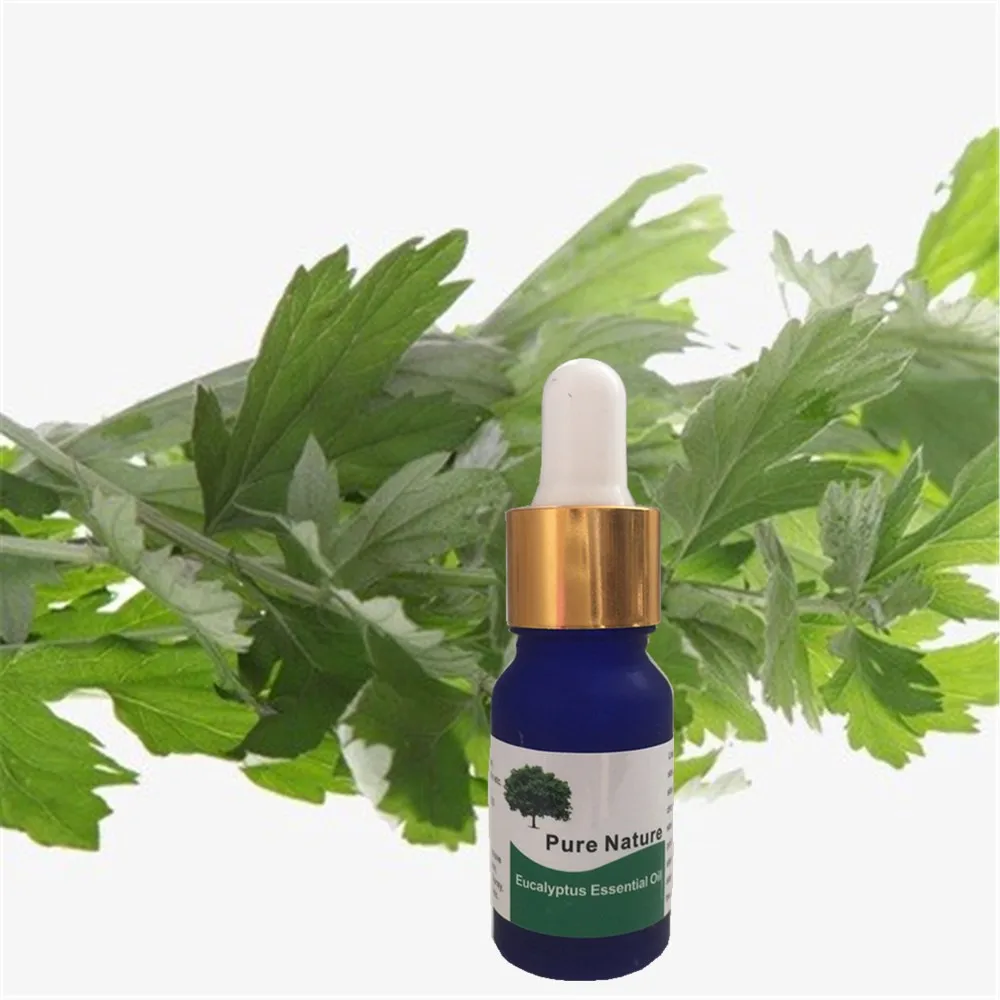 

1 bottle 10ML SPA eucalyptus essential oils with aromatic aromatherapy oil household daily supplies cured flavor Home Air care