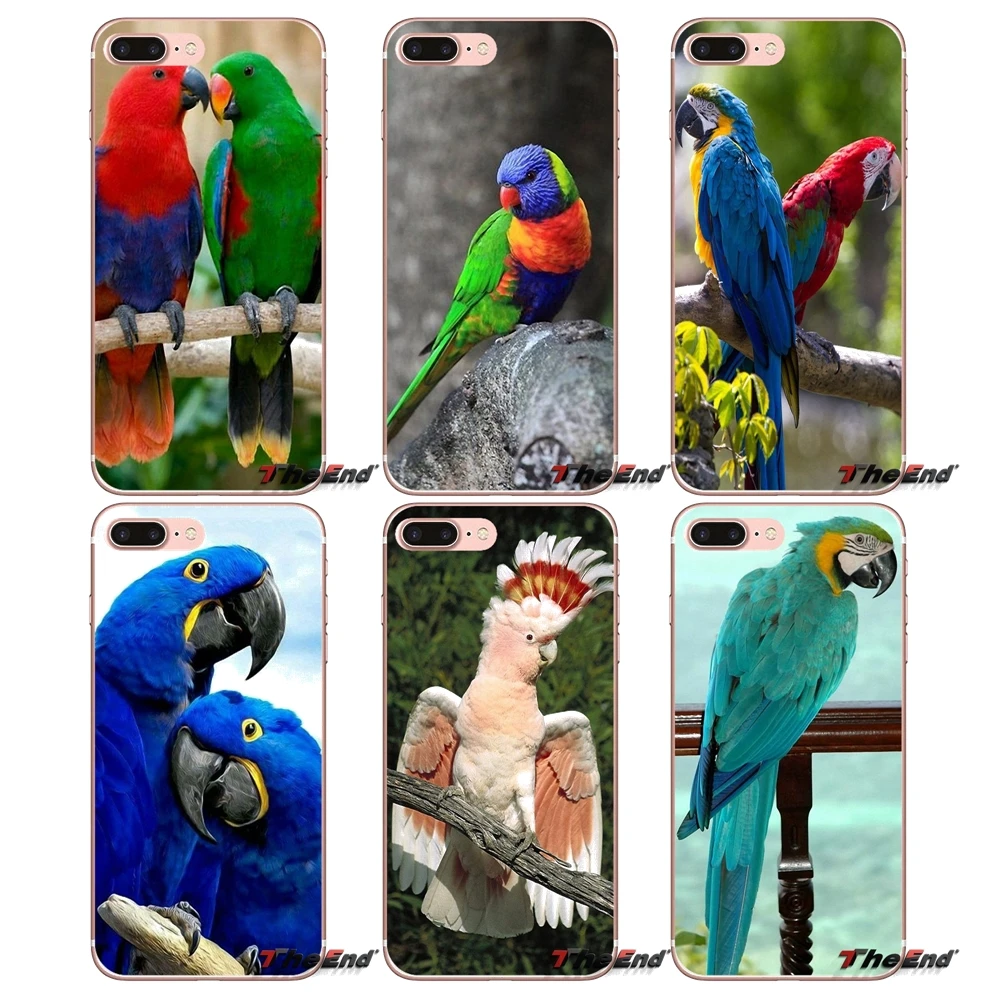 

Transparent Soft Cases Covers Rainbow Parrot For Samsung Galaxy J1 J2 J3 J5 J7 A3 A5 A7 2015 2016 2017 J330 J530 J730