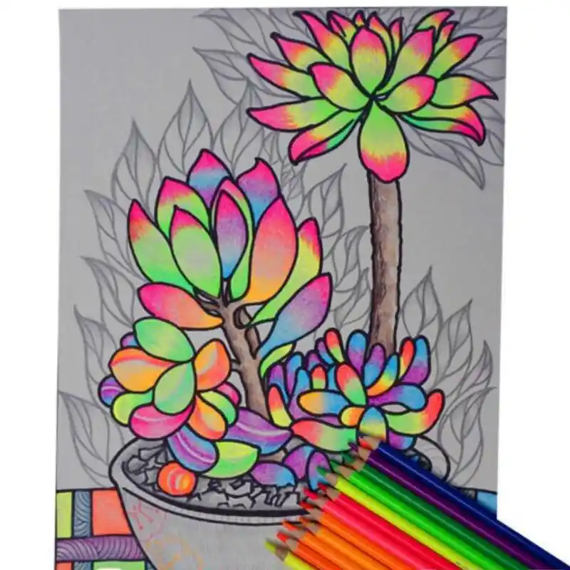 12 Color Fluorescent Color Pencil Mark Pencil Secret Garden