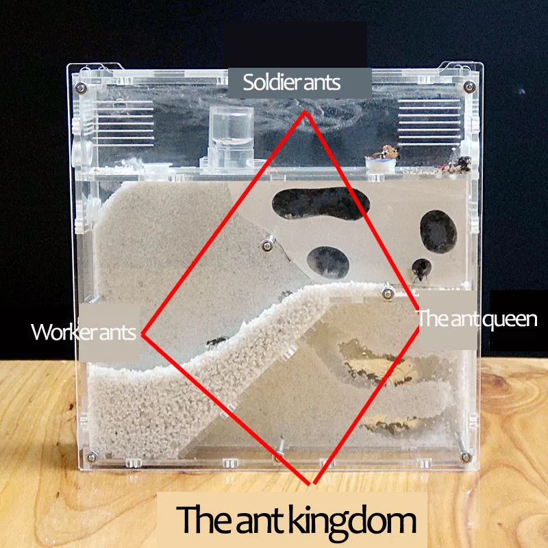Прозрачный муравьиный дом замок, гнездо для домашних животных муравьев имитирует экосистему, вы можете заполнять глиняный песок муравьи фермы лабиринт насекомое гнездо коробка