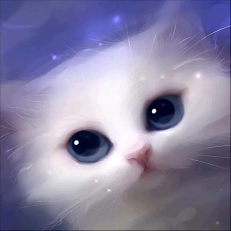 6570