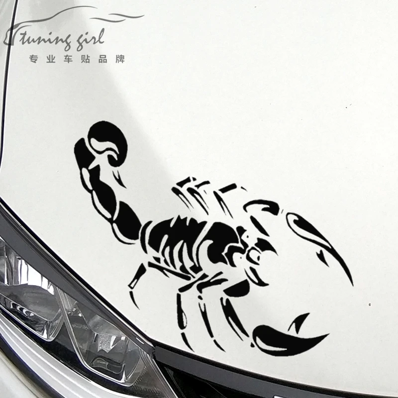 Car Stickers Scorpion Animal Creative Funny Decals For Tail Door Auto Tuning Styling Waterproof 18cm 25cm 31cm D10 Scorpion Decals Car Stickers Decalsscorpion Sticker Aliexpress