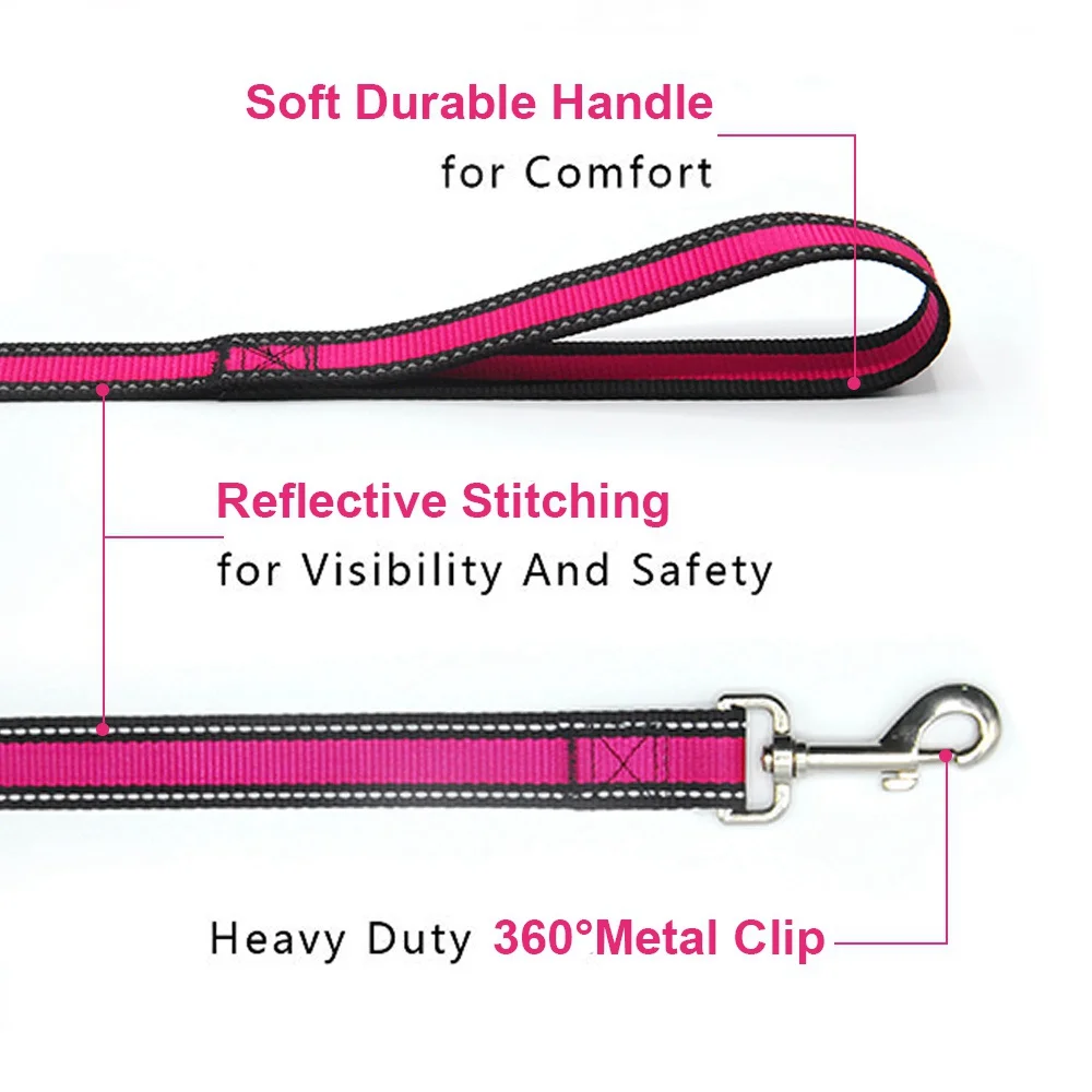 dog leash (1)