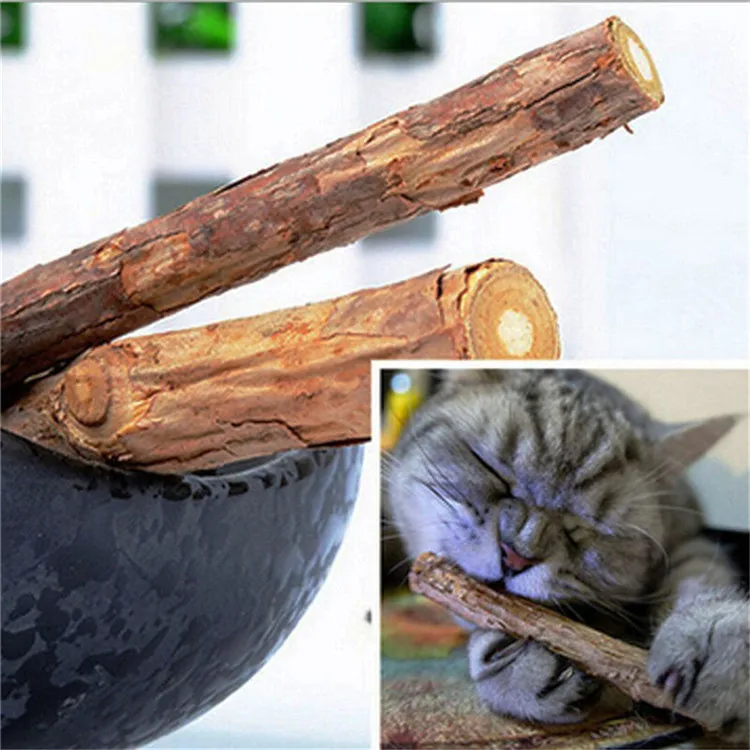 5PCS-Cat-Cleaning-Teeth-Pure-Natural-Catnip-Pet-Cat-Molar-Toothpaste-Stick-Silvervine-Actinidia-Fruit-Matatabi (4)