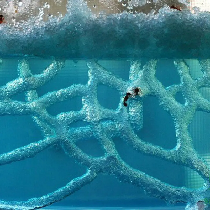 Ant Farm Children Adults Hobby Fascinations Antworks Ant Habitat Artist Blue Gel Ecological Toys Science Educational For Kids