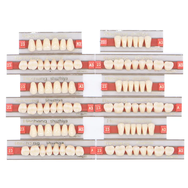 

84pcs/box Size 23 Acrylic Resin Denture Teeth Upper Lower A2 A3 Oral Care Teeth Whitening Model Dental Materials Dental Tools