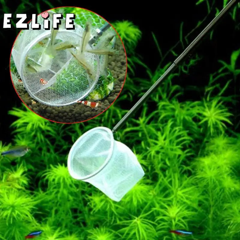 

EZLIFE 3d Aquarium Small Fish Shrimp Catching Net 5cm Square Round Shape ZSZ4781 Random Color Delivery