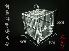 Boîte d'alimentation transparente pour enfants, jouet d'extérieur en plastique unisexe 2021, criquet, cigale, ver à soie, Reptile