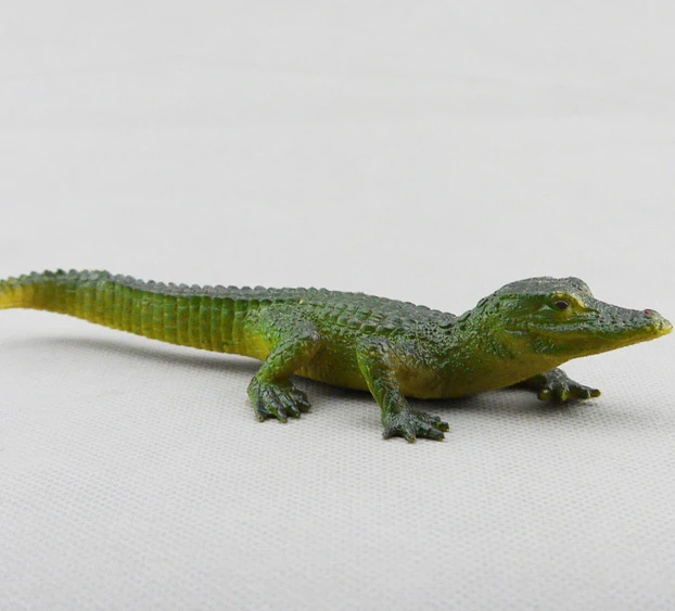 アメリカ3aaa本シミュレーション野生動物ワニワニおもちゃモデル赤ちゃんワニ Toy Model Crocodile Modelmodel Toy Aliexpress