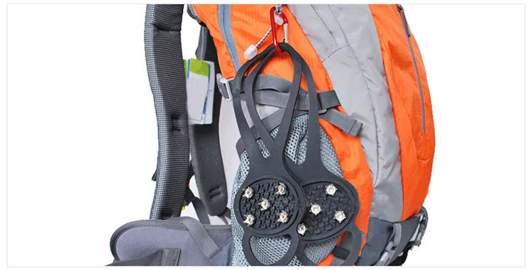 3727981779_2018702420