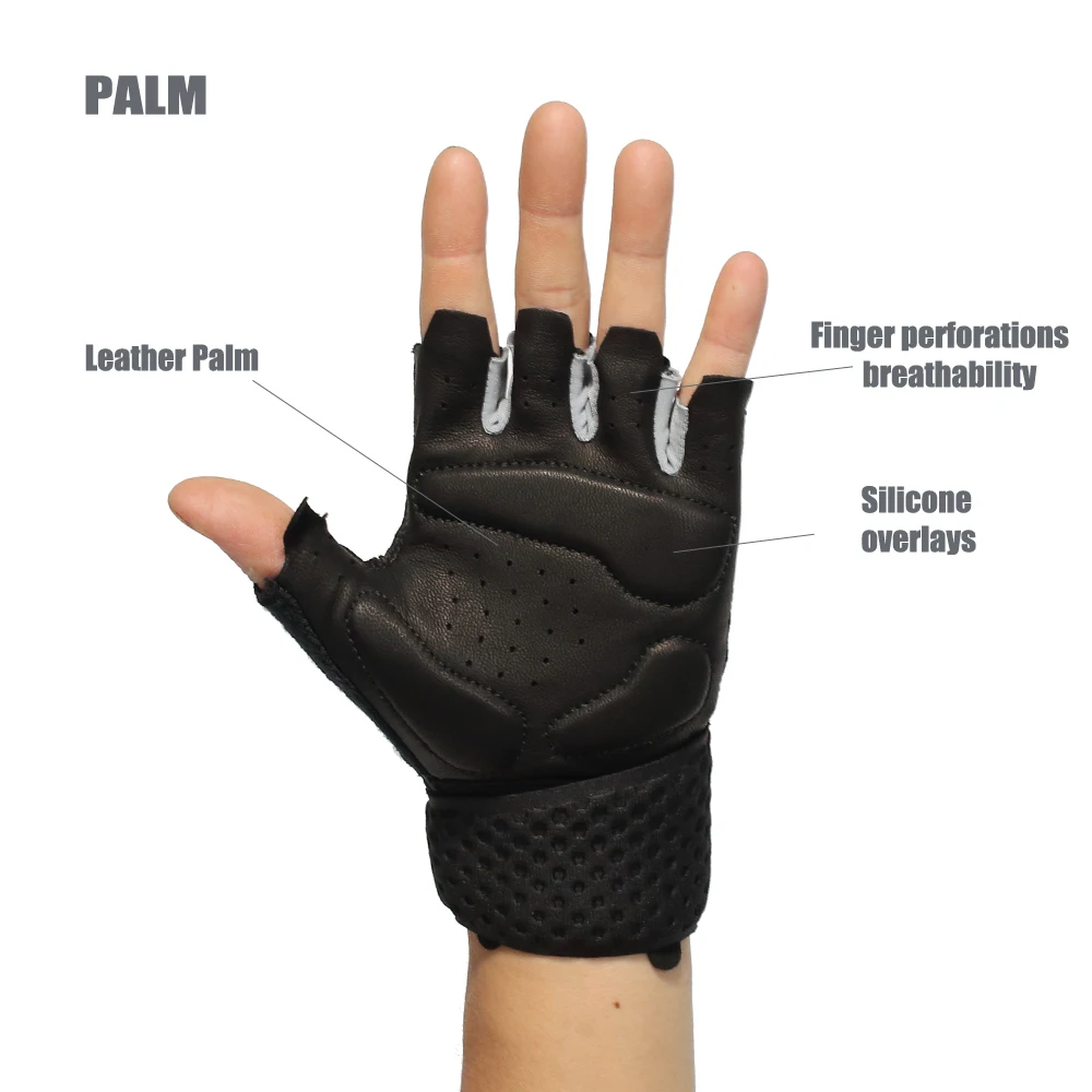 palm