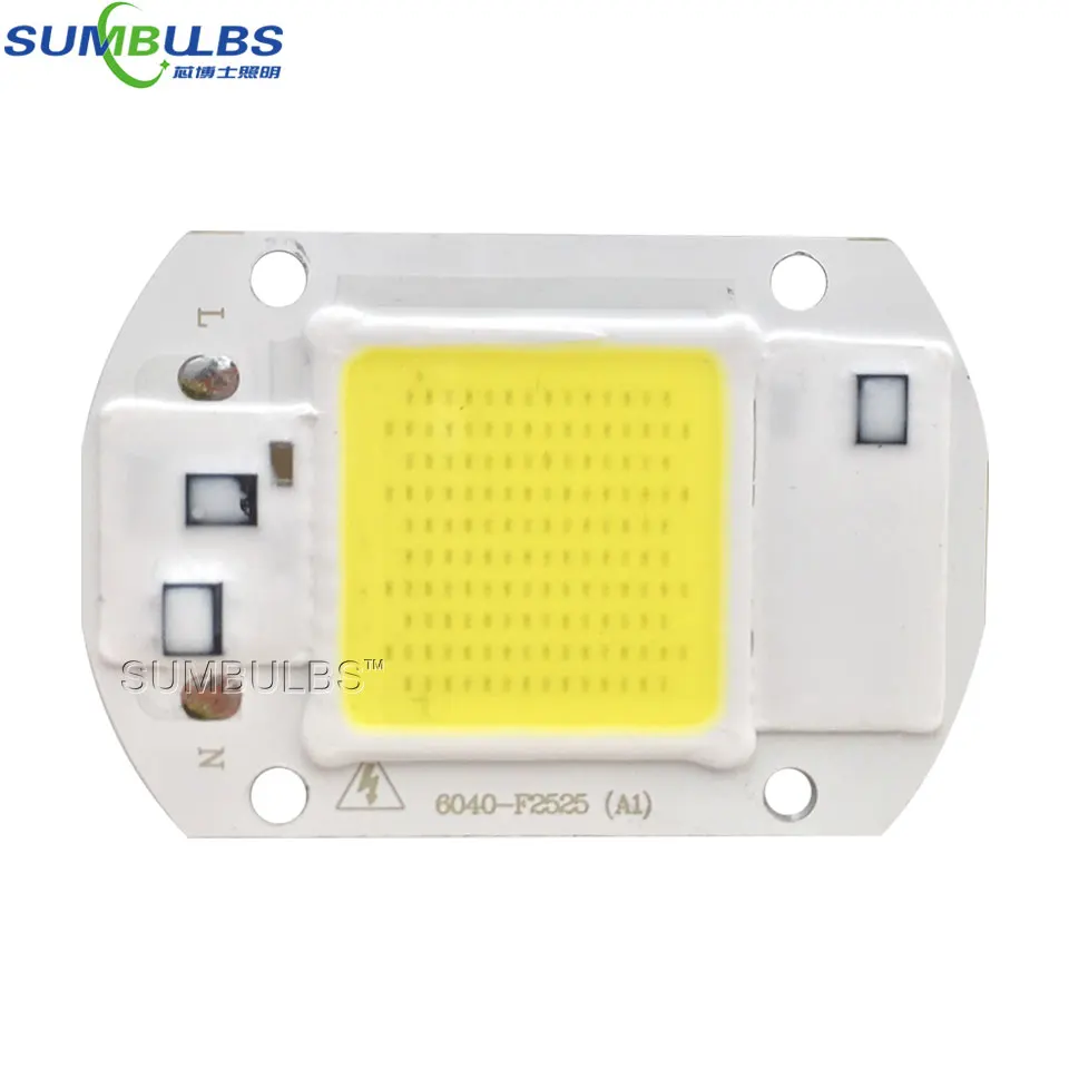 

5PCS/lot Smart IC LED Matrix For Projectors 20W 30W 50W 110V 220V DIY Flood Light COB LED Diode Spotlight Outdoor Chip Lamp Bulb
