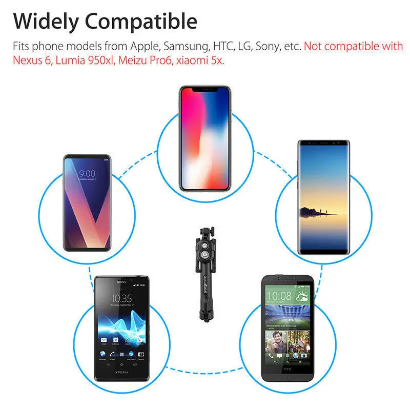 10564368786_1832651291