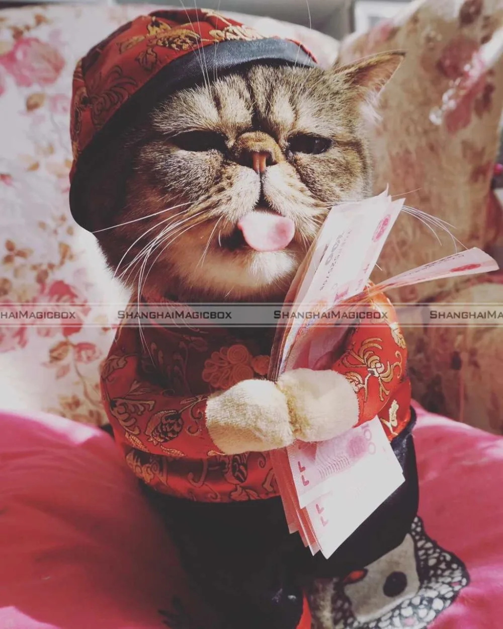 Pet Chinese Traditional Tang Style Dog Cat Coat With Hat Happy New Year