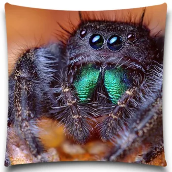 

Lovely Spider Cotton/polyester Home Car Decor Couch Insect butterfly pattern Square Cushion Cover For Sofa Decorative