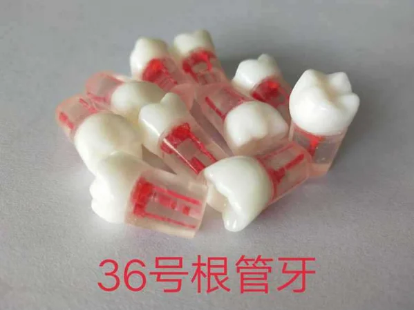 36