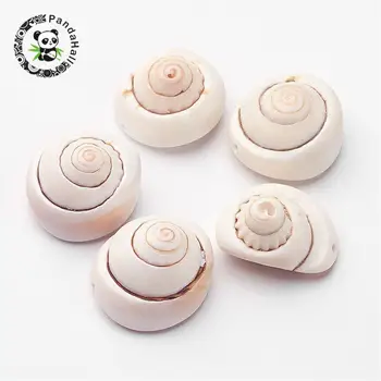 

1000g/lot Flat Round Spiral Puka Shell Beads Necklaces Bracelets and Earring Making Seashell, 16~20x7~10mm, Hole: 1~2mm,