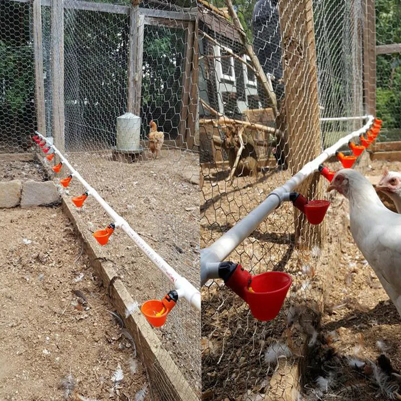 Newest 50 Pcs Chicken Bird Automatic Drinking Cups Chicken Coop Waterer Quail Nipple Drinker Thread Drinker Water Bowl