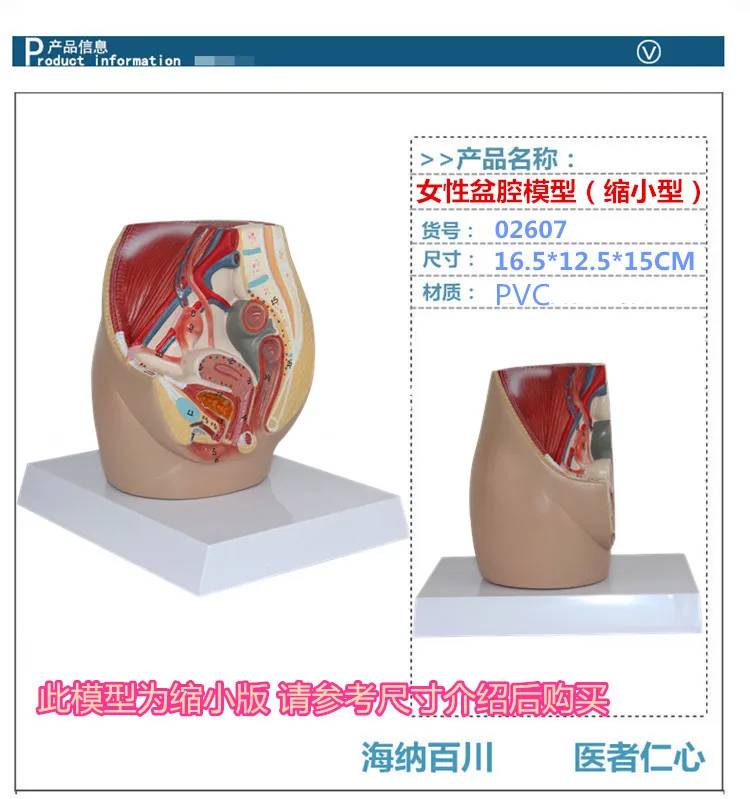 //img.alicdn.com/imgextra/i1/2529213246/TB2siDtoVXXXXXGXpXXXXXXXXXX_!!2529213246.jpg