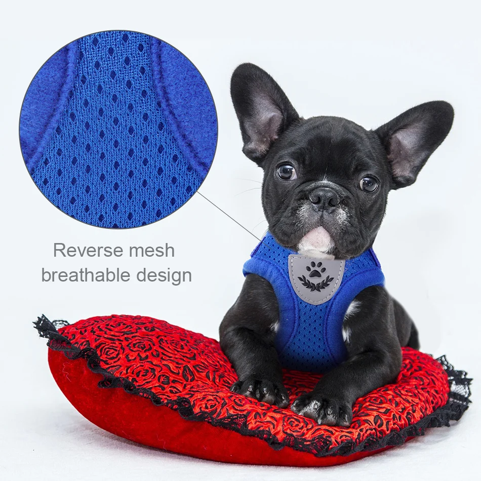 harnesses for small dog