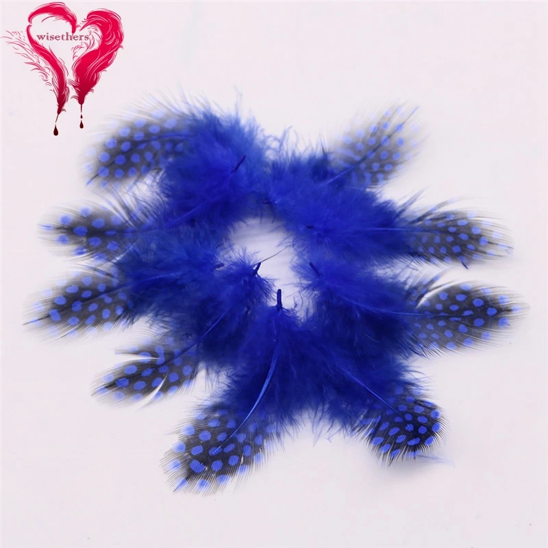 9 royal blue guinea fowl feather 2