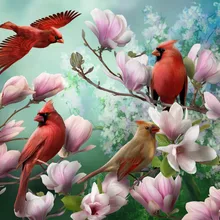 Четыре Птицы, играющие в цветы, искусство, ручная роспись, креативная Цифровая живопись маслом, сделай сам, живопись по номерам, пигментная щетка, живопись