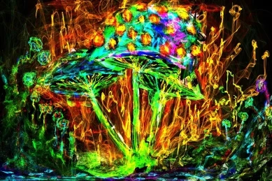 79