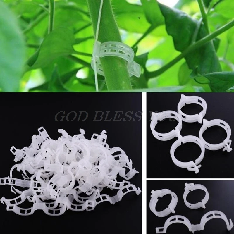

Plant Support Clips for Garden Tomato Garden Vegetables Vine to Grow Upright and Makes Plants Healthier Twine Clips