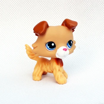 

pet shop cute toys Rare Animal collie #2452 little yellow Brown dog with blue eyes original action figure toys for children