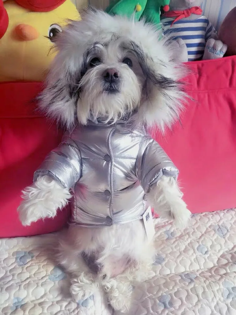 Dog Clothes Winter for Small Dogs (3)